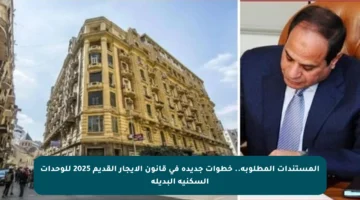 المستندات المطلوبة.. خطوات جديدة في قانون الإيجار القديم 2025 للوحدات السكنية البديلة